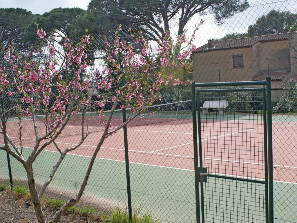 Lagrange Vacances Le Domaine Des Grands Pins Saint-Raphaël 外观 照片
